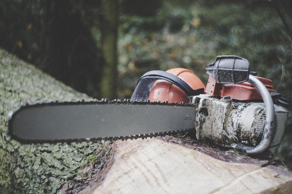 chainsaw, forestry, tree-3655667.jpg